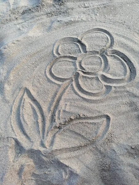 Sandblume, Blume in Sand gezeichnet